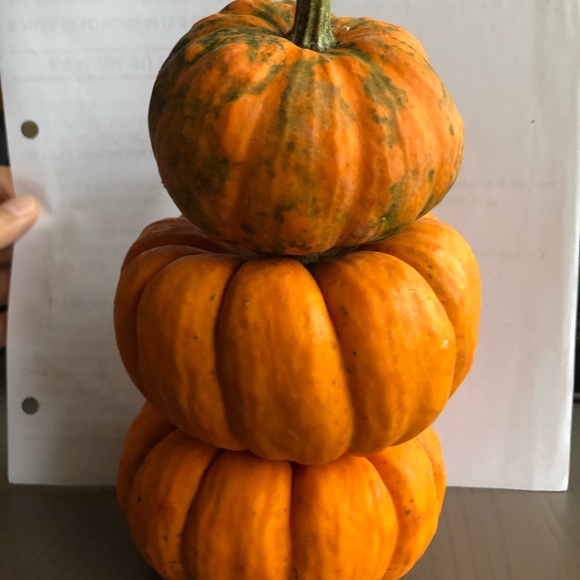 Meet your Posher, Thi - Picture 1 of 1